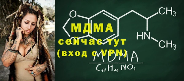 дживик Богородск