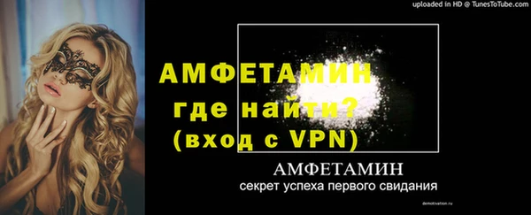 дживик Богородск
