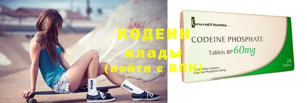 дживик Богородск
