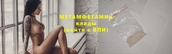 шишки Слюдянка