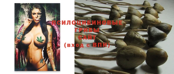 шишки Слюдянка