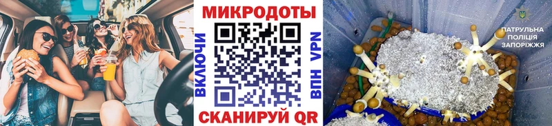 KRAKEN ссылка Мезень Псилоцибиновые грибы мицелий